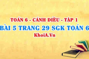 Bài 5 trang 29 SGK Toán 6 tập 1 Cánh Diều